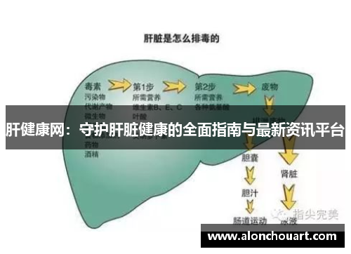 肝健康网：守护肝脏健康的全面指南与最新资讯平台